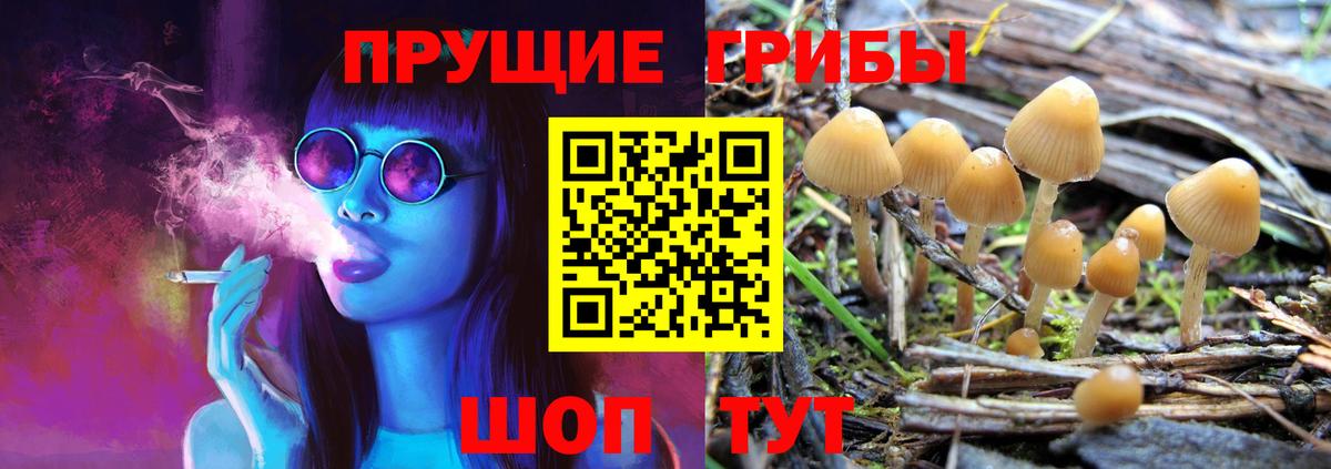 Галлюциногенные грибы мухоморы  Псилоцибиновые грибы Cubensis  купить закладку  Вход с VPN  Новосибирск 
